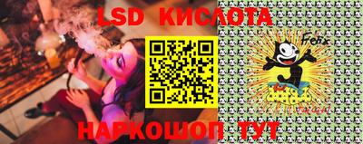 индика Гай