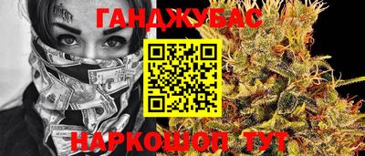 индика Гай