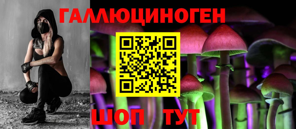 Галлюциногенные грибы Psilocybine cubensis Белая Калитва